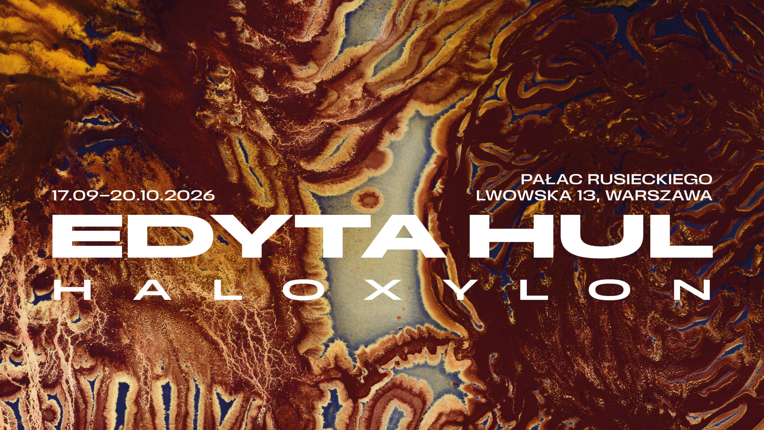 Edyta Hul, Haloxylon, Piękna Gallery
